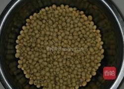 菜豆腐(连渣闹)的做法图解1