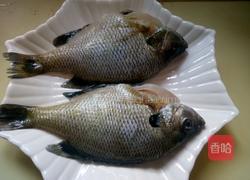 清蒸太阳鱼的做法图解1