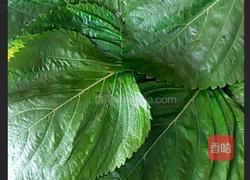 苏子叶粘耗子的做法图解6