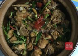 砂锅鸡煲的做法图解5