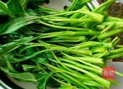 蒜蓉炒空心菜的做法图解2