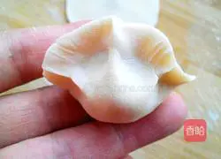 Illustration of how to make pork and leek dumplings 13