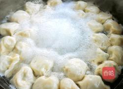 猪肉韭菜水饺的做法图解16