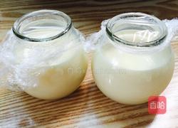 芒果布丁的做法图解2