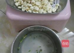 莲蓉馅的做法图解2