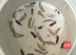 牛奶炖花胶的做法图解5