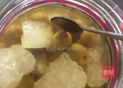 青梅煮酒的做法图解5