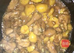 板栗焖鸡的做法图解7