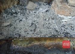 竹筒焖猪腰的做法图解7