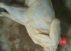 虫草花炖小母鸡的做法图解1