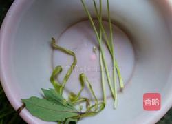 红薯杆菜的做法图解2