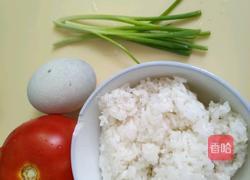 番茄皮蛋粥的做法图解1