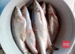 酱香白条鱼的做法图解1