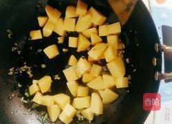 南瓜炖土豆的做法图解4