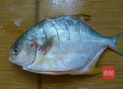 香煎金鲳鱼的做法图解1