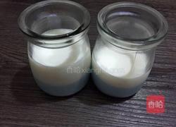 多彩布丁杯的做法图解4
