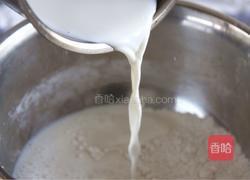 史多伦stollen的做法图解3