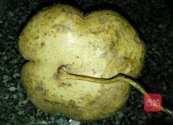 清炒地瓜丝的做法图解1