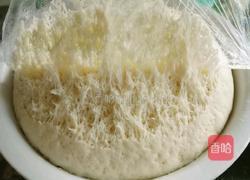 肉包子的做法图解11