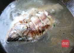 豆腐鲫鱼汤的做法图解7