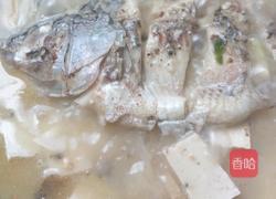 豆腐鲫鱼汤的做法图解10