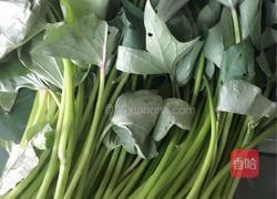 清炒地瓜叶的做法图解1