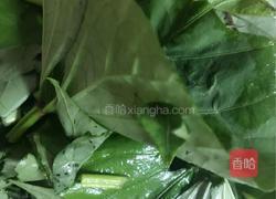 清炒地瓜叶的做法图解2