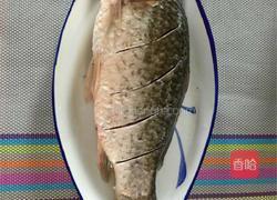 红烧鲫鱼的做法图解1