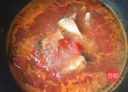 番茄草鱼的做法图解6