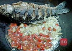 泡椒烧鲫鱼的做法图解8