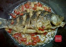 泡椒烧鲫鱼的做法图解14
