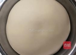 牛奶面包的做法图解6