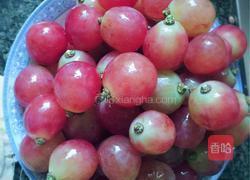 怎么洗提子的做法图解4