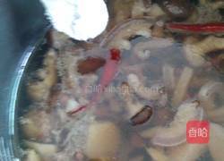 山药香菇炖驴肉（简单版）的做法图解5