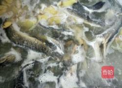 薏米煮鱼汤的做法图解7