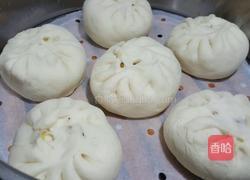 大头菜（包菜）（卷心菜）（圆白菜）素馅包子的做法图解8