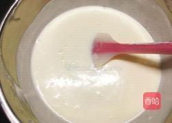 冻酸奶芝士蛋糕的做法图解17