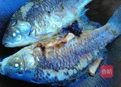 鲫鱼豆腐的做法图解2