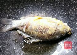 番茄炖鲫鱼的做法图解3