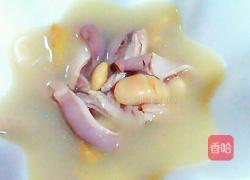 芸豆猪肚汤的做法图解11