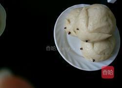 玉兔豆包的做法图解9