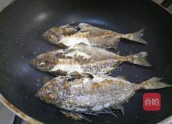 香煎泥猛鱼的做法图解4