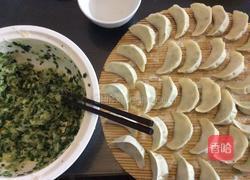韭菜白萝卜素水饺的做法图解10
