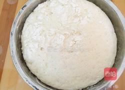 鲜肉包的做法图解7