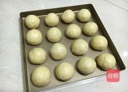 豆沙面包的做法图解9