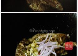 泡椒燜鱼的做法图解3