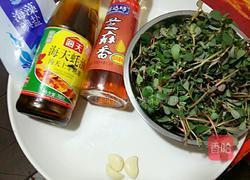 凉拌马齿苋的做法图解1