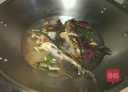 紫苏炖黄骨鱼汤的做法图解4