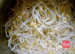 凉拌豆芽的做法图解3