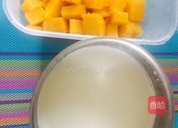芒果思慕雪的做法图解1